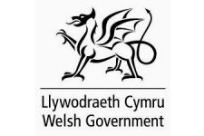 Logo for Welsh Government Logo for Welsh Government